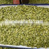 China shine skin pumpkin seeds kernels