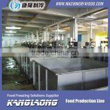 1000Kg/H Vegetablefruit Drying Production Plant thumbnail-1