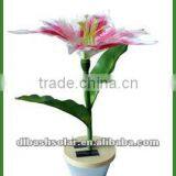 Solar Lights for Garden thumbnail-1