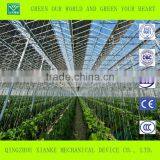 Multi-Span Glass Greenhouse for Agricultural Seeding thumbnail-1
