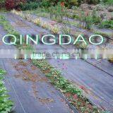 PP Woven Weed Control Mat for Garden thumbnail-1