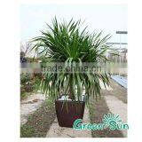 Hot Selling Diy Indoor Decoration Garden Planter Flower Pots thumbnail-6