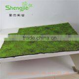 SJLJ013308 Wholesale Plastic Moss Mat / Artificial Moss for Decoration thumbnail-1