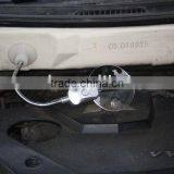 Magnifier With the Cupula