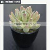 Cute Artifiical Mini Succulent With Ceramic Pot thumbnail-5