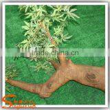 Locating at Scenic Spot, Certificate With SGS ISO, Outdoor Decorative Artificial Baobab Tree thumbnail-6
