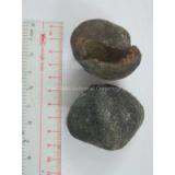 SEA CUCUMBER thumbnail-2