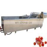 Vegetable Washing Sink 2018 Chinese Multifunction Fruit Cleaning Machine
