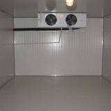 Cold Room Cold Storage for Lemon thumbnail-5