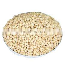 Byloo Afghan Pure Red Pine Nuts Chilgzi Black Pine Nuts Afghan thumbnail-5