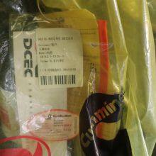 Heavy Machinery Engine - Low Fuel Consumption 4BTA3.9-C125 Diesel Engine for Truck/Wheel Loader/Diesel Generator Set/Agriculture/Tractor/Forklift thumbnail-2