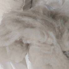 Factory Supply Tibetan Dehaired Cashmere Fiber Tibet Cashmere in Stock thumbnail-3