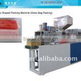 Group Straw Packing Machine(Pillow Type Packing) thumbnail-1