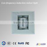 2015 New Idea Anti-corrosion Aluminum Induction Lamps 60W Indoor Light