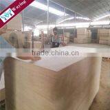 Origin Malaysian Plywood 8*4* 2.7mm , 6mm , 12mm ,18mm , Hard Wood Plywood thumbnail-5