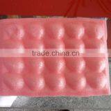 Fruit Insert Plastic Tray for Strawberry