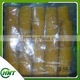 High Quality Iqf Corn Kernels thumbnail-4