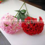 White House Plants Hydrangea for Wedding thumbnail-4