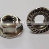 Fasteners Hex Flange Nuts and Bolt DIN EN ISO 4034/DIN 6923 thumbnail-5