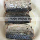Jack Mackerel Fish In Cans to Chile thumbnail-3