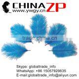 ZPDECOR No.1 Supplier in China Factory Exporting Wholesale From 6-8'' Dodger Blue Ostrich Feathers Plume thumbnail-1