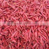 Dried Chilli thumbnail-5