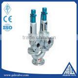 Wholesale Y Type Double Pressure Safety Valve for Oil thumbnail-2