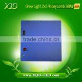 Agricultural Intelligence Plant Factory Use Led Grow Lights 300w Honeycomb Help Lettuces Growing Best thumbnail-2