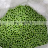Best quality iqf frozen green pea