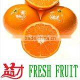 Grade A Fresh Navel Orange, Fresh Fruit thumbnail-4