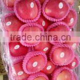 Hot Sale Chinese Fuji Apple thumbnail-5