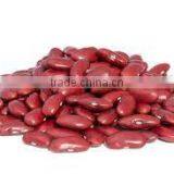 Red Kidney Beans thumbnail-1