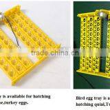 HHD Multipurpose Wildly Used in Quail Duck Goos 12V 110V 220V Incubator for Quail Eggs thumbnail-5