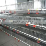 Automatic Chicken Broiler Cage for Chicken Farm with High Quality