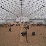 Light Frame Steel Structure Building for Greenhouse, Poultry Farm With Really Low Cost thumbnail-2