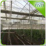 Low Cost Tunnel Economico Flower Greenhouse for Sale thumbnail-1