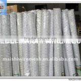 Chicken Wire Factory In China