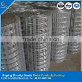 high quality iron rod made galvanized welded wire mesh
