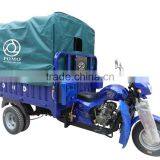 Hot Sale POMO YANSUMI Electric Tricycle China, Three Wheel Electric Motorcycle, 300Cc Trike thumbnail-1