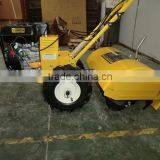 Tillers With Light thumbnail-4