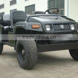 Manufacturer of Electric Car off Road Utility Vehicle UTV