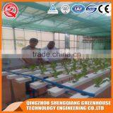 China Multi-span Glass Greenhouse Hydroponic Systems for Agriculture thumbnail-5