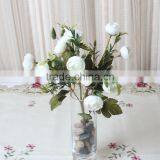 SJ10131024 Mini Dry Plastic Bouquet Flowers for Mothers Days thumbnail-3