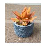 SJ10181201 Wholesale All Types Of Artificial Cactus Plants thumbnail-5
