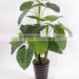 CHY030933 Indoor Artificial Bonsai Plant /plastic Fake Plant/ Artificial Alocasia Plant thumbnail-5