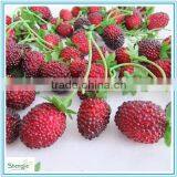 Artificial Decoration Fruit