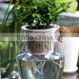 OEM Self Watering Window Hydroponics Plastic Flower Pot thumbnail-5