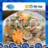 Clam Variety Tasty Seafood thumbnail-1