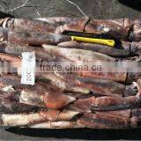 Snack of Illex Squid thumbnail-1