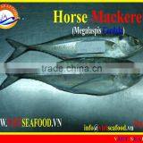 W/R FROZEN HORSE MACKEREL thumbnail-1